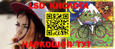 бошки Заводоуковск