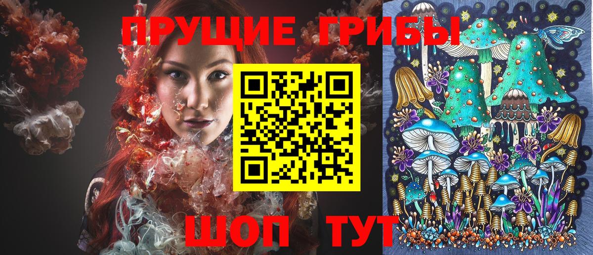 Галлюциногенные грибы Psilocybe Мирный